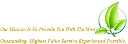 Organic Cleaning Solutions