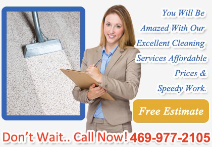 Professional Carpet Cleaning