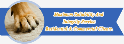 Carpet Stain Removal